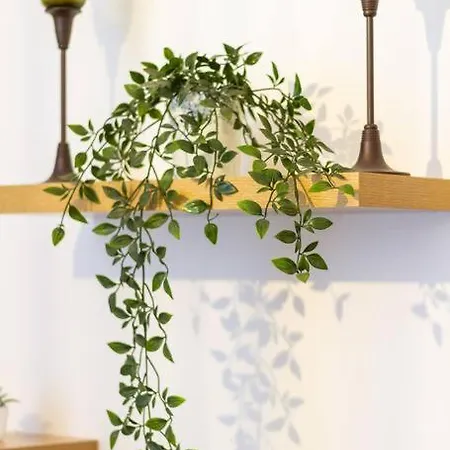 Luxe Haven On Lonyay By Newave *